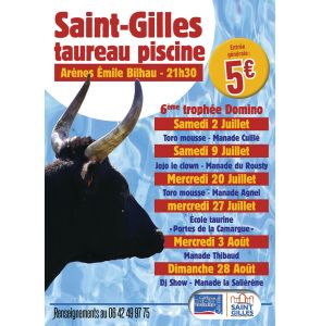 Taureau piscine à Saint-Gilles 