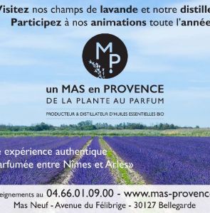 Un mas en Provence